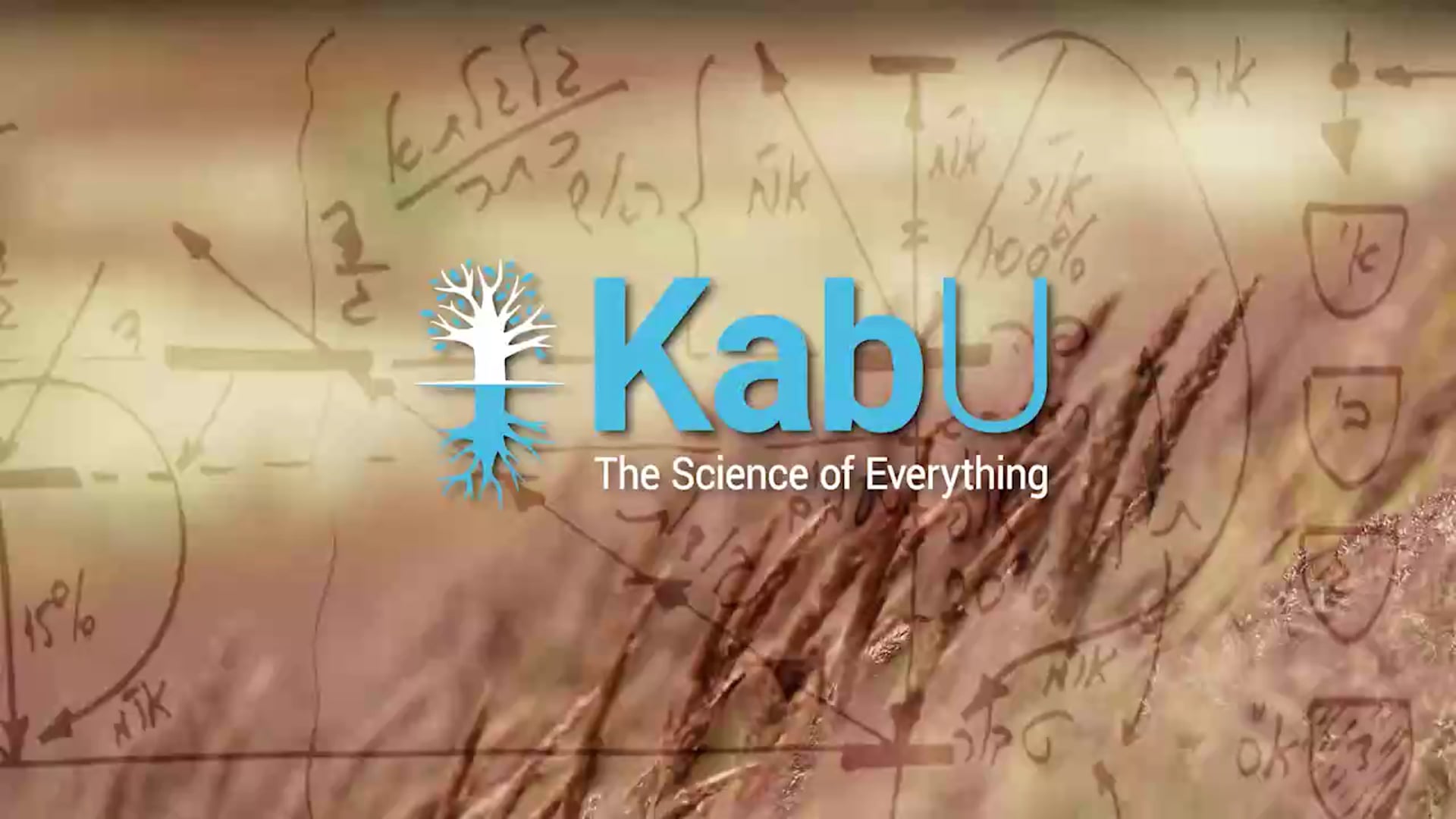 Dec 13, 2020 Sunday Meeting With Friends