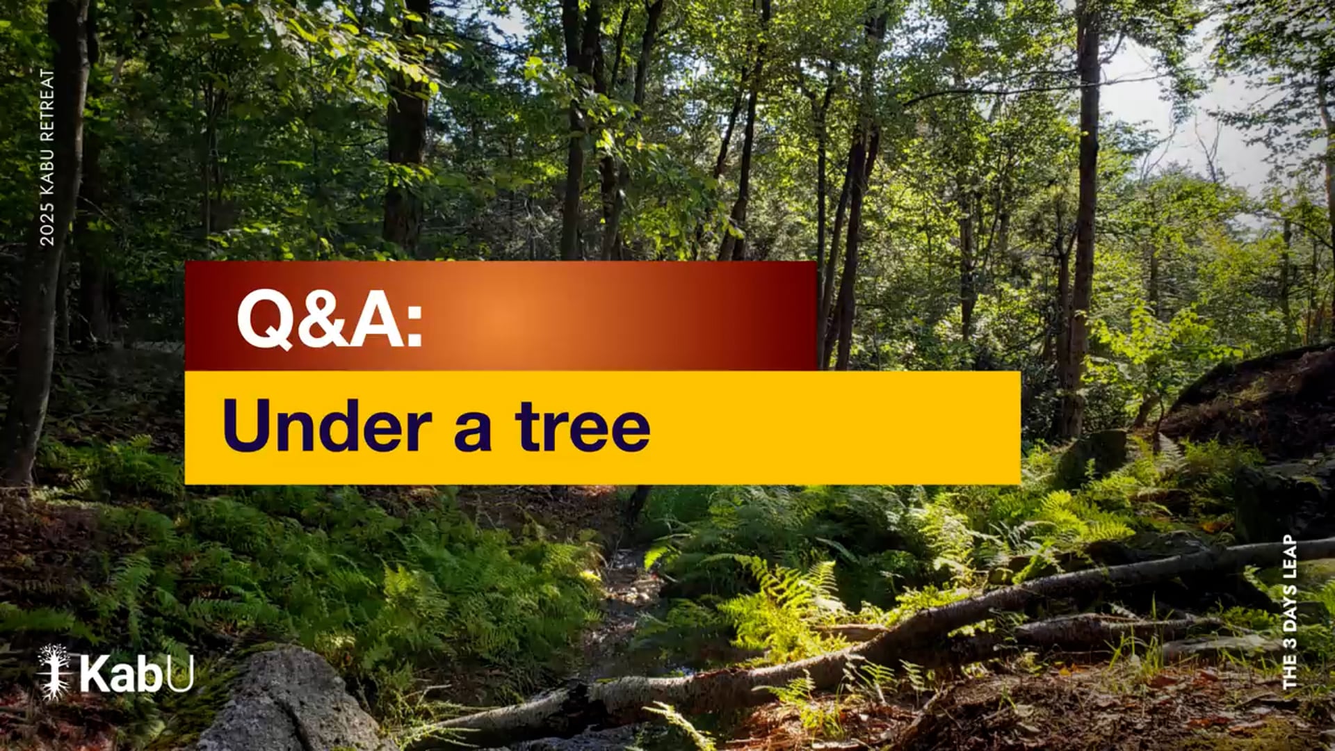 Sep 07, 2025 – Under a Tree