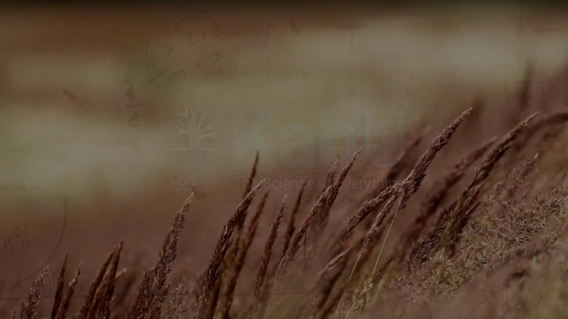 Sept 13, 2026 – Israel, the light & the Creator – and the workshop as a tool for connection